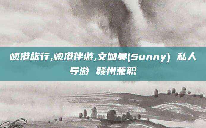 长治岘港旅行,岘港伴游,文伽昊(Sunny) 私人导游 赣州兼职
